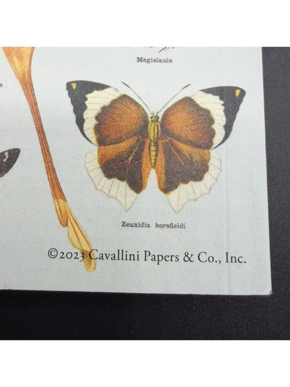 Cavallini & Co Butterflies Papillons Unlined Blank Journal Stationery USA